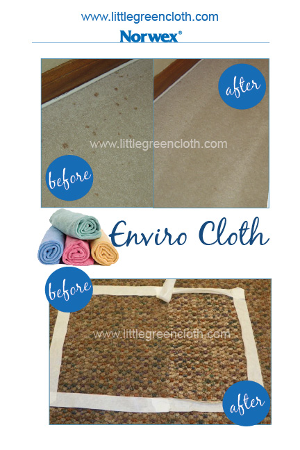 Carpet Stains and Norwex Enviro Cloth