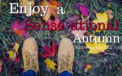 Experiencing a “Sense-ational” Autumn: Fully Enjoying the Season