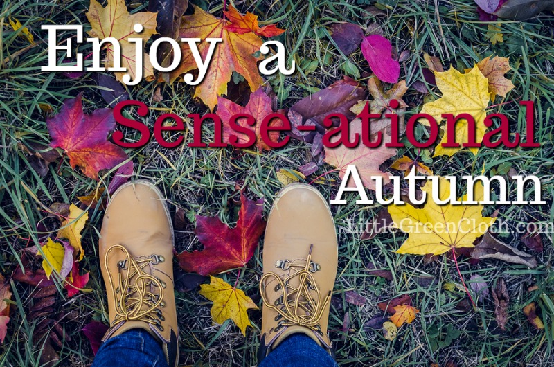 Enjoy Autumn for everything it has to offer! 