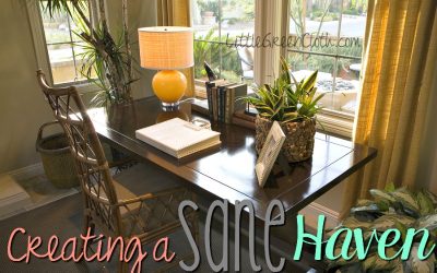 Creating a SANE Haven: Your Home Office and Paperwork