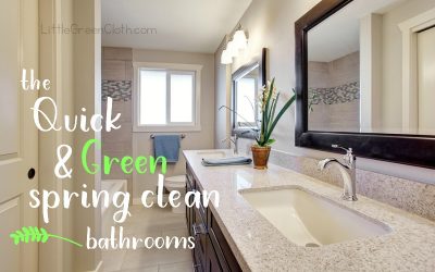 The Quick and Green Spring Clean: The Bathroom and Windows