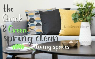 The Quick and Green Spring Clean: Living Spaces