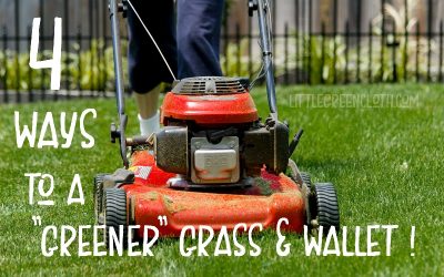 Get “Greener” Grass for less Green this Year!