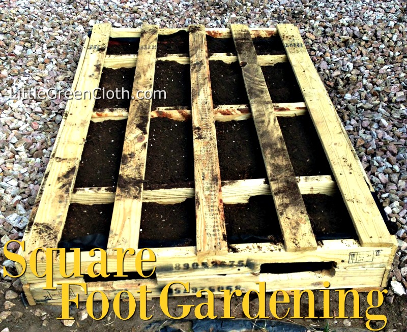 Organic Gardening DIY
