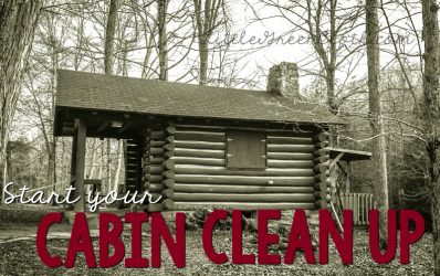 Check out of your Cabin with a clean up from Norwex!