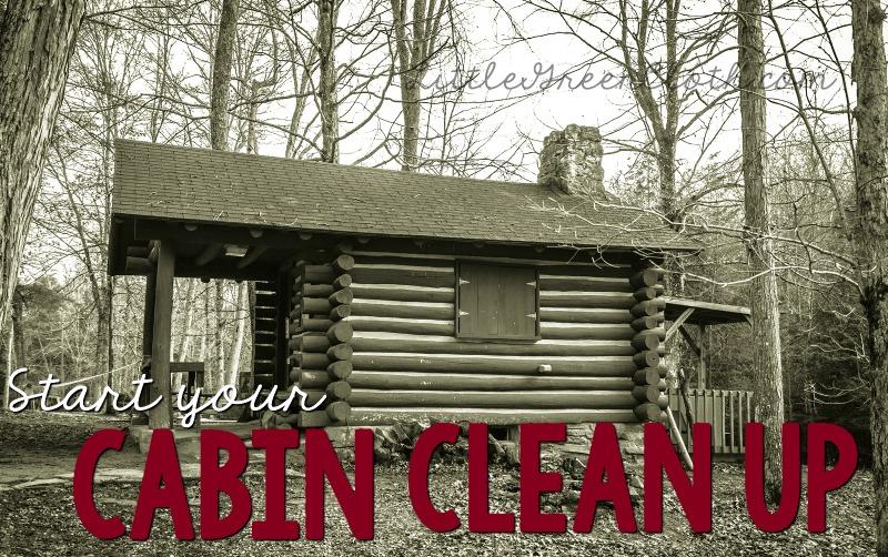 Check out of your Cabin with a clean up from Norwex! 