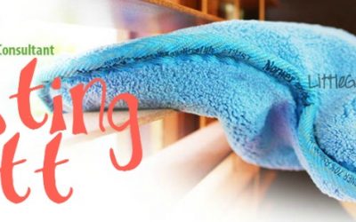 Give the Norwex Dusting Mitt a Hand