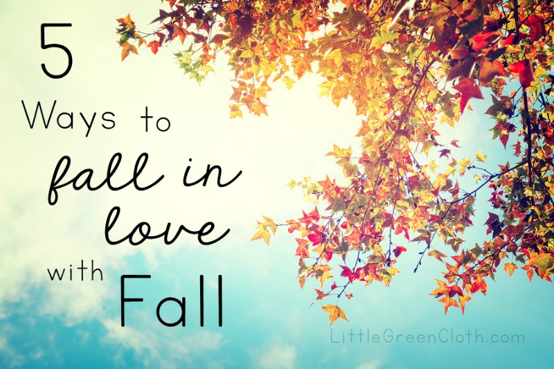 Not sure if you like fall since winter is around the corner? Read on! 