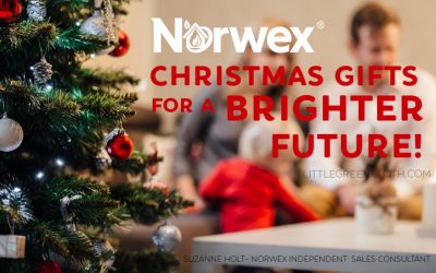 12 Days of Norwex Christmas: The Little Helper