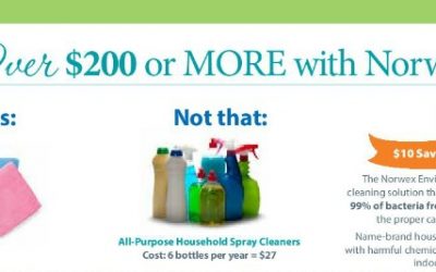 You Could Save over $200 on Cleaning Supplies THIS Year!!