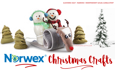 Turn Easy Christmas Crafts into Gifts with Norwex !!