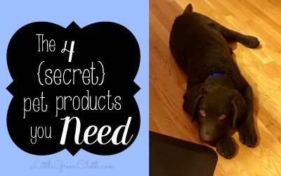 These Secret Pet Products Will Change Everything