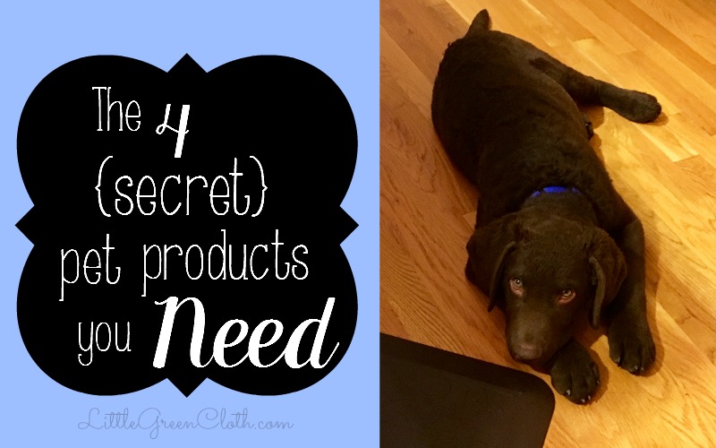 Check out our new dog and the pet products we all love! 