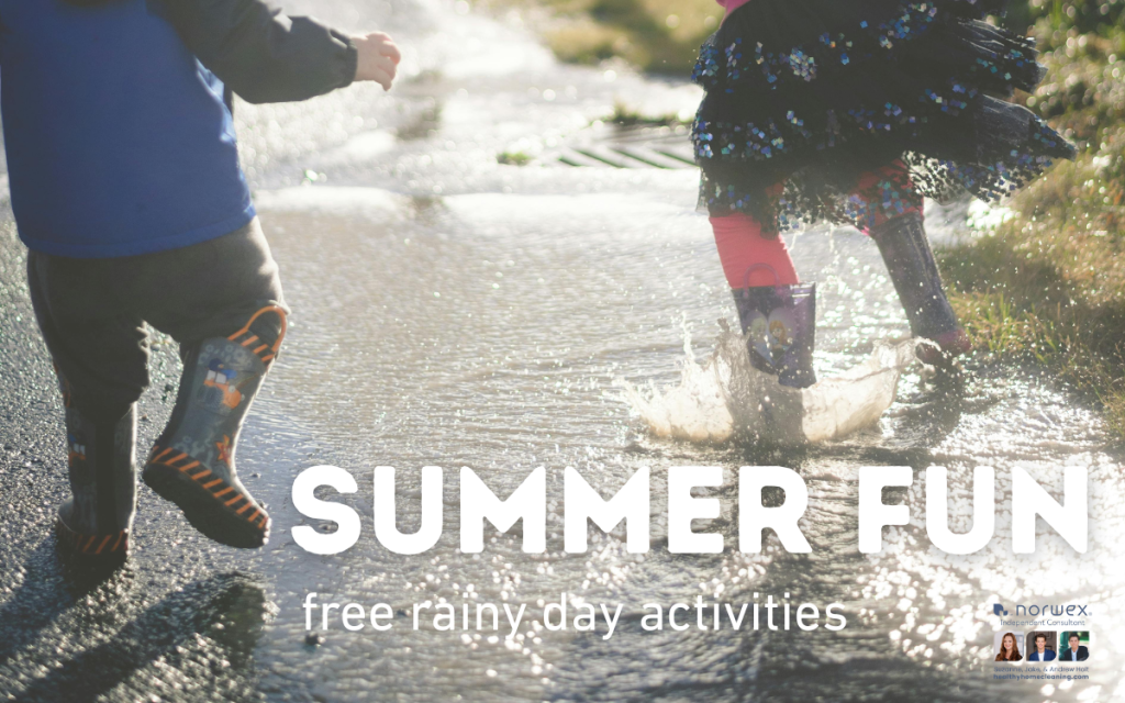 Ideas for rainy days in MN