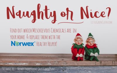 Are Chemical Cleaners Naughty or Nice?