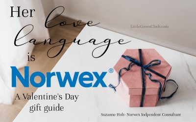 Valentine’s Day Gift Guide from Norwex