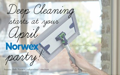 April-Norwex-Party