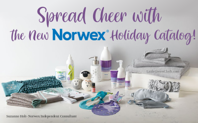 2021 Holiday Norwex Catalog