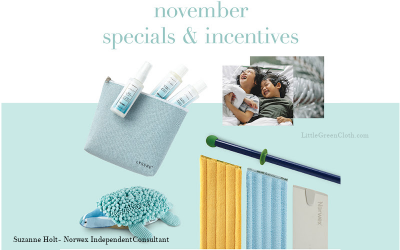 Norwex November Customer Specials