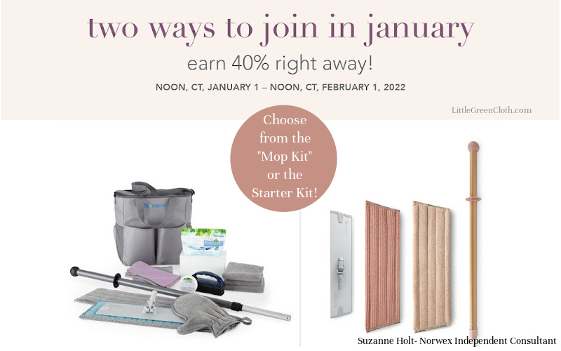 There are 2 Ways to Join Norwex in January- both include the Mop!