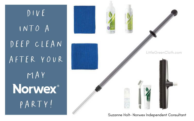 Dive into a Deep Clean after your May Norwex Party!