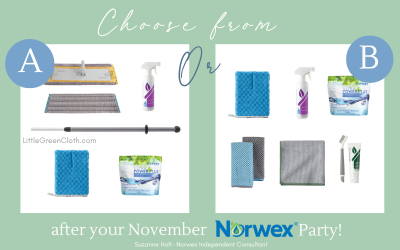 Choose your Rewards after Hosting a Party in November (one of them includes the Norwex Mop System!)