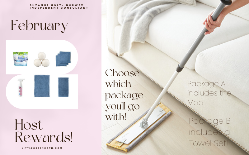 Choose from 2 Norwex Host Packages in February (one is the MOP)!