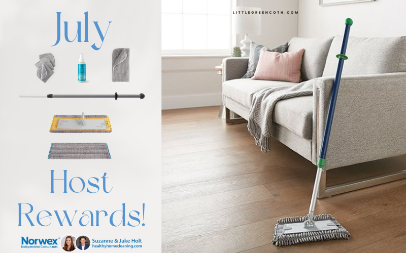 The Summer Fun Has Just Begun with Norwex Mop Month in July!