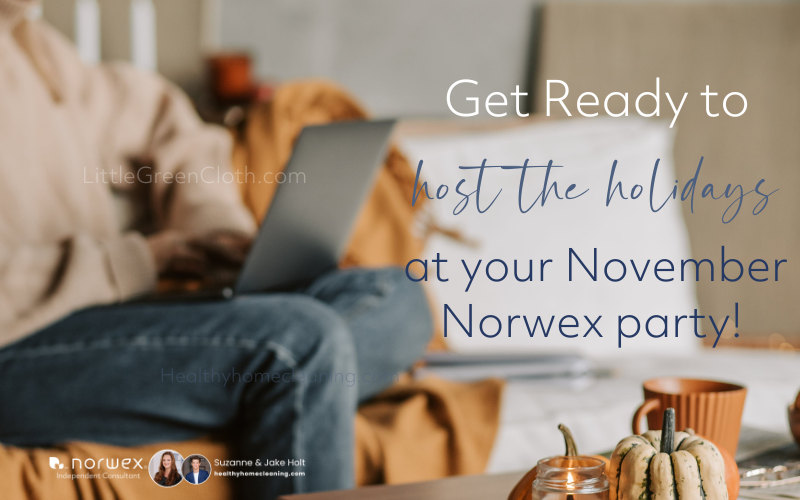 Get Ready to Host the Holidays at your November Norwex Party!