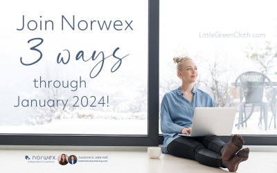 NEW Norwex Products 2024 