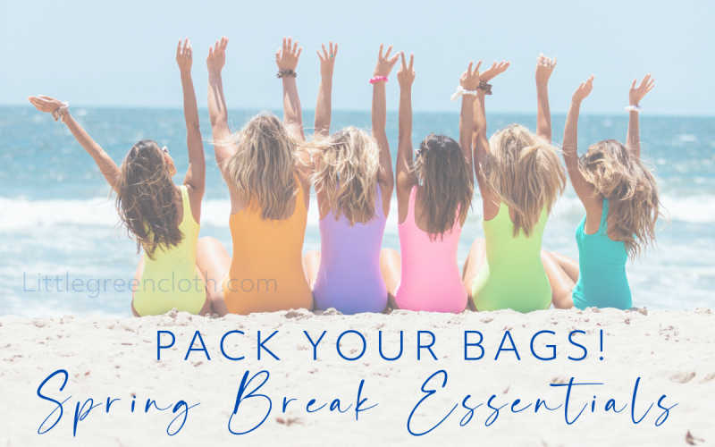 Pack your Bags- Norwex Spring Break Essentials!