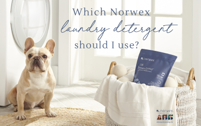 Which Norwex Laundry Detergent Should I Use?